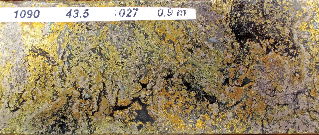Mineralised drill core with depth and assay labels