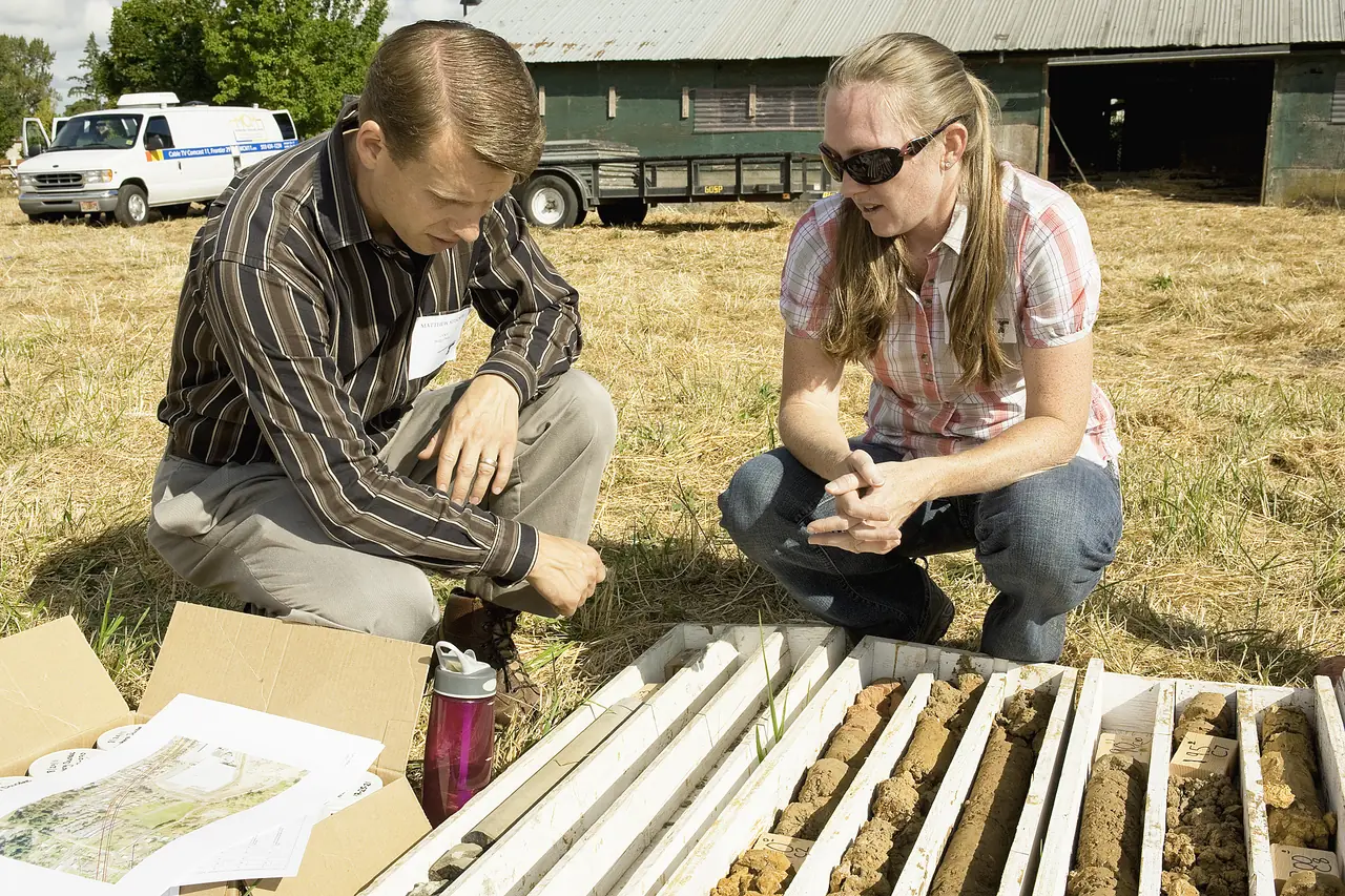 Geologists inspecting trays of drill core