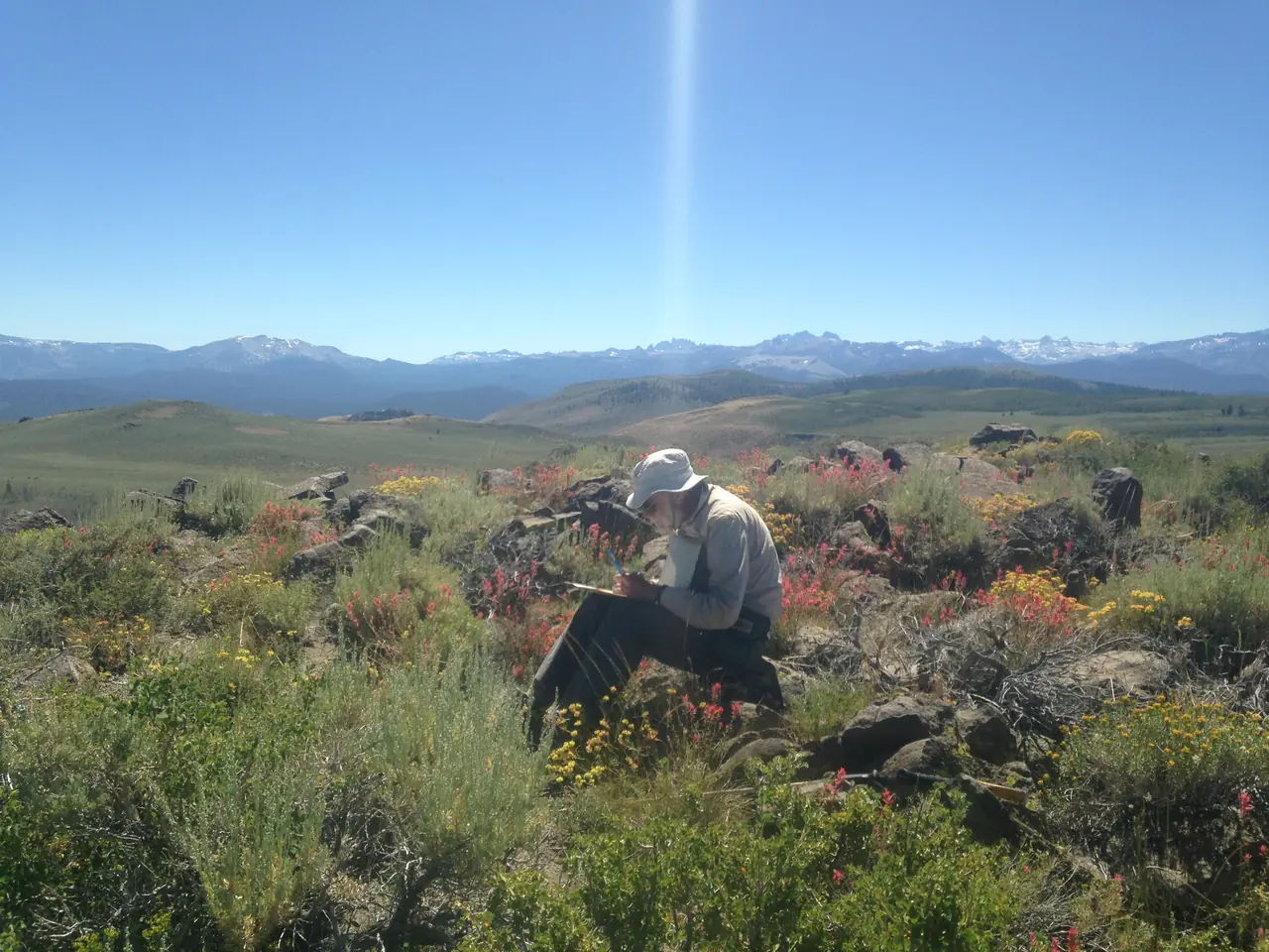 Geologist studying the landscape from a hillside