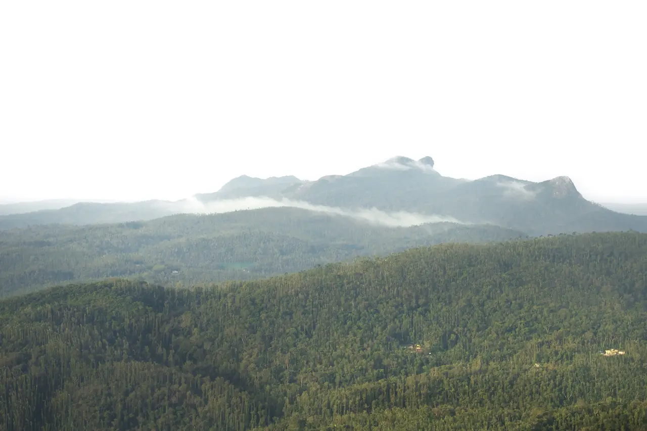 Forested hills of the Western Ghats, India
